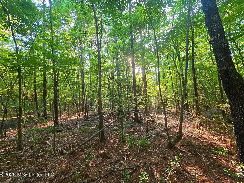 Hamilton Road Prentiss, MS 39474