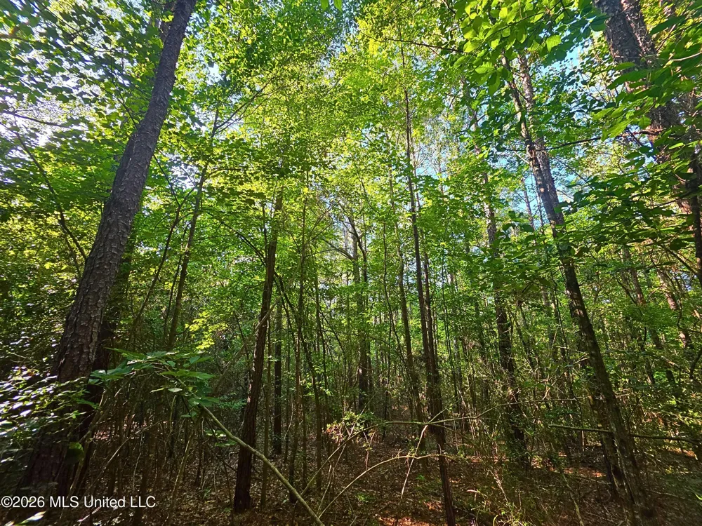 Hamilton Road Prentiss, MS 39474