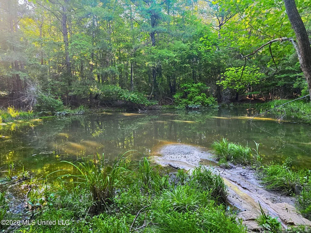 Hamilton Road Prentiss, MS 39474