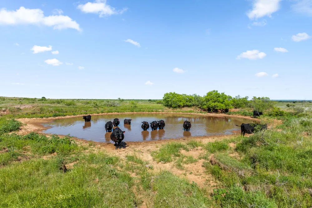 Dutton Ringgold, TX 76261