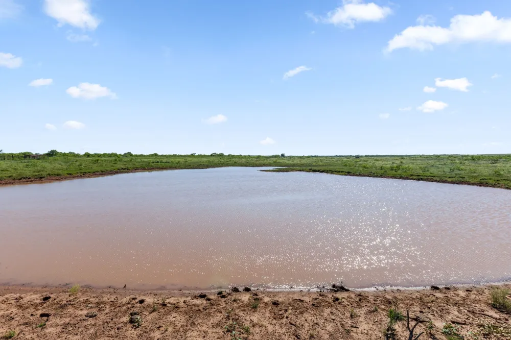 Dutton Ringgold, TX 76261
