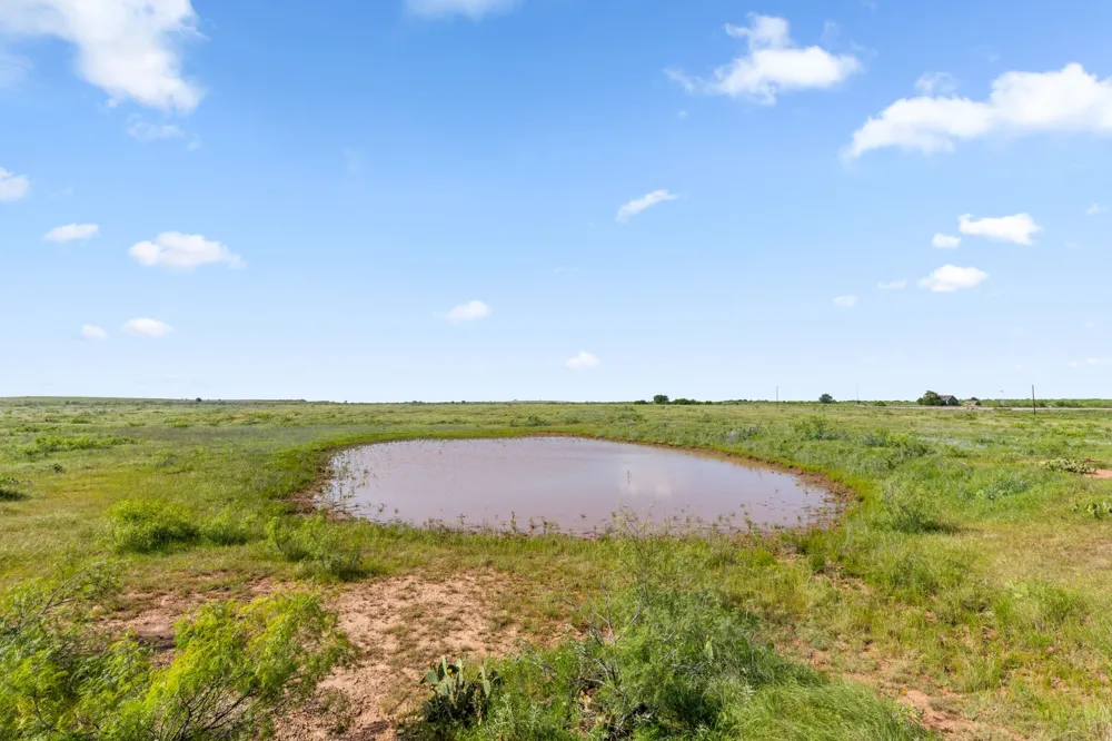 Dutton Ringgold, TX 76261