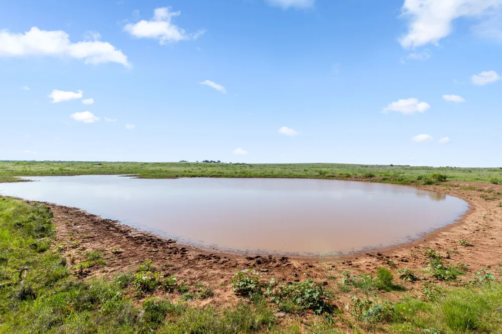 Dutton Ringgold, TX 76261