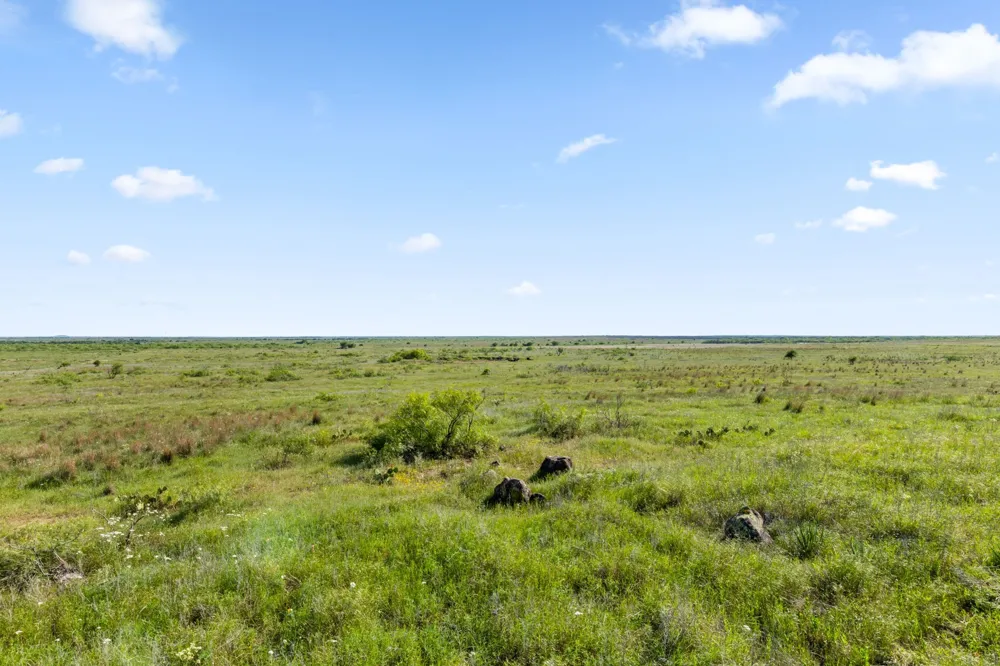 Dutton Ringgold, TX 76261
