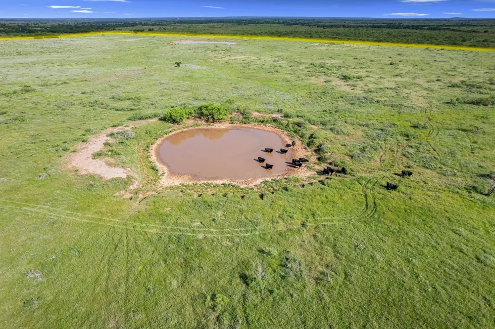 Dutton Ringgold, TX 76261