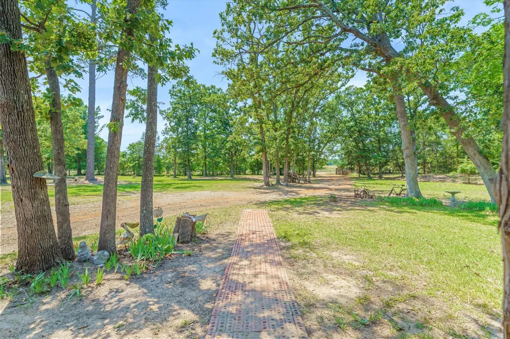 7611 Fm 314 Ben Wheeler, TX 75754