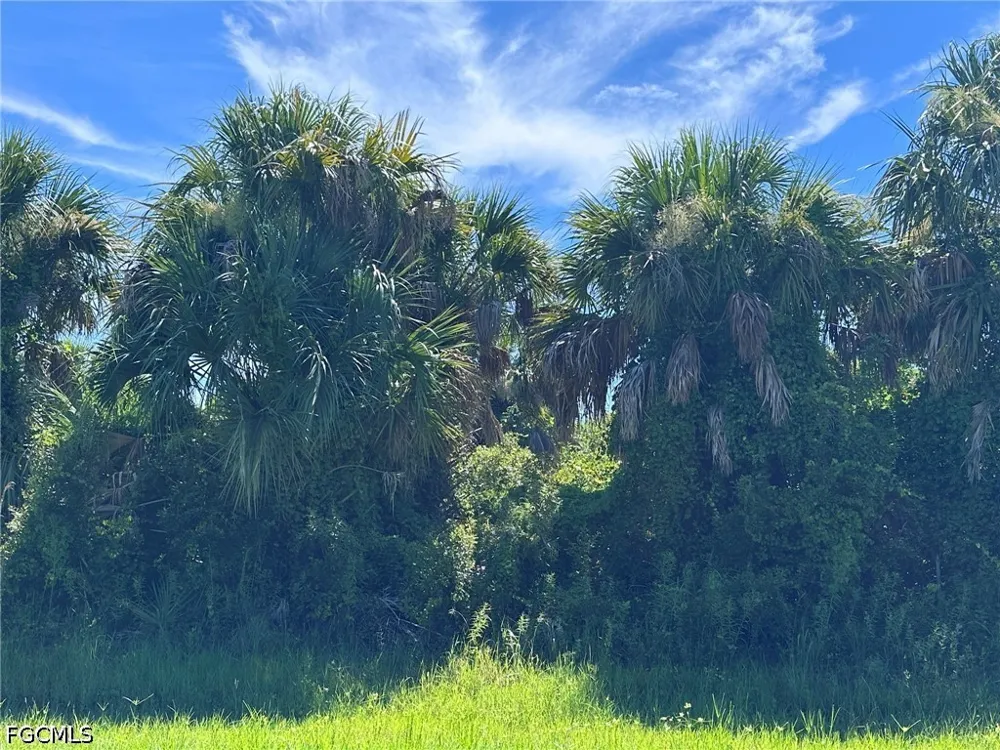 Oconnel Street Englewood, FL 34224