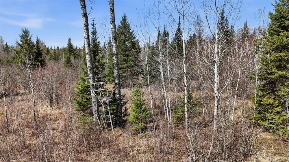 8849 Hwy 25 Angora, MN 55703