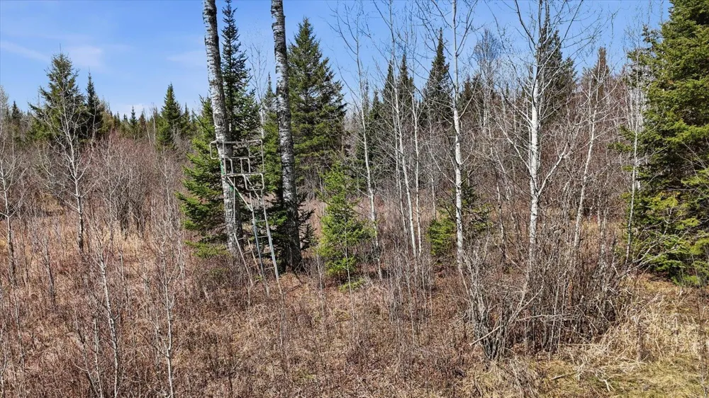 8849 Hwy 25 Angora, MN 55703