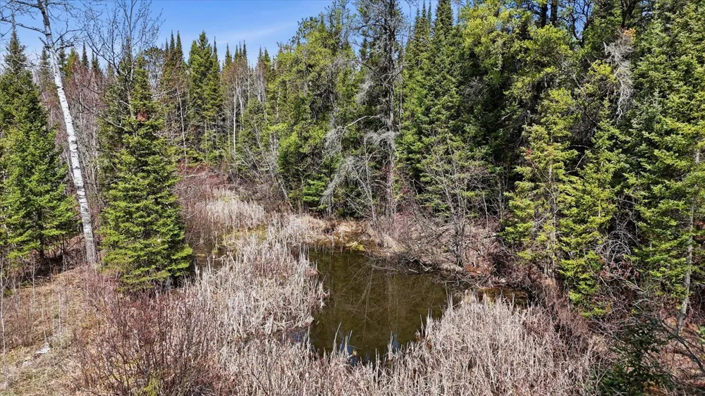 8849 Hwy 25 Angora, MN 55703