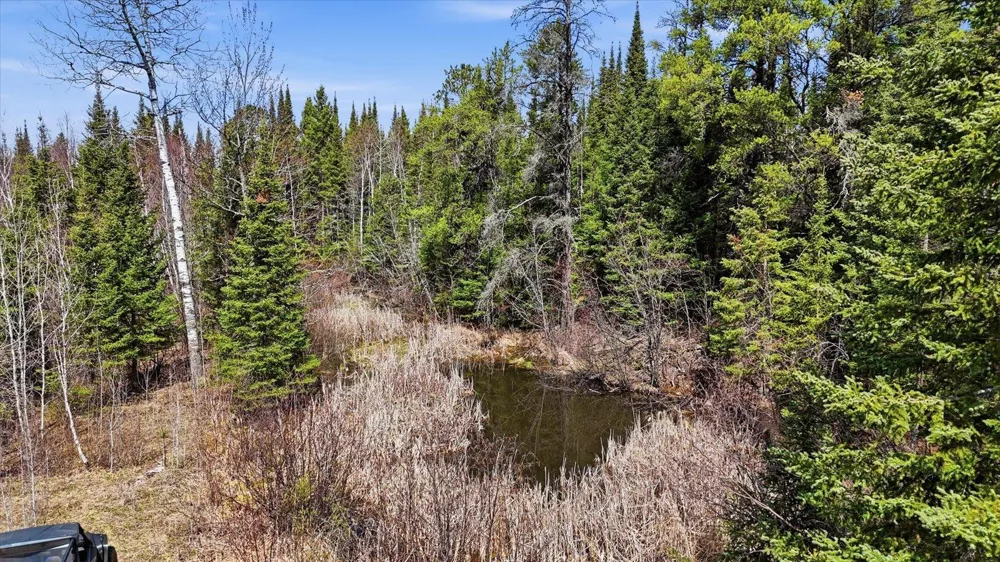 8849 Hwy 25 Angora, MN 55703