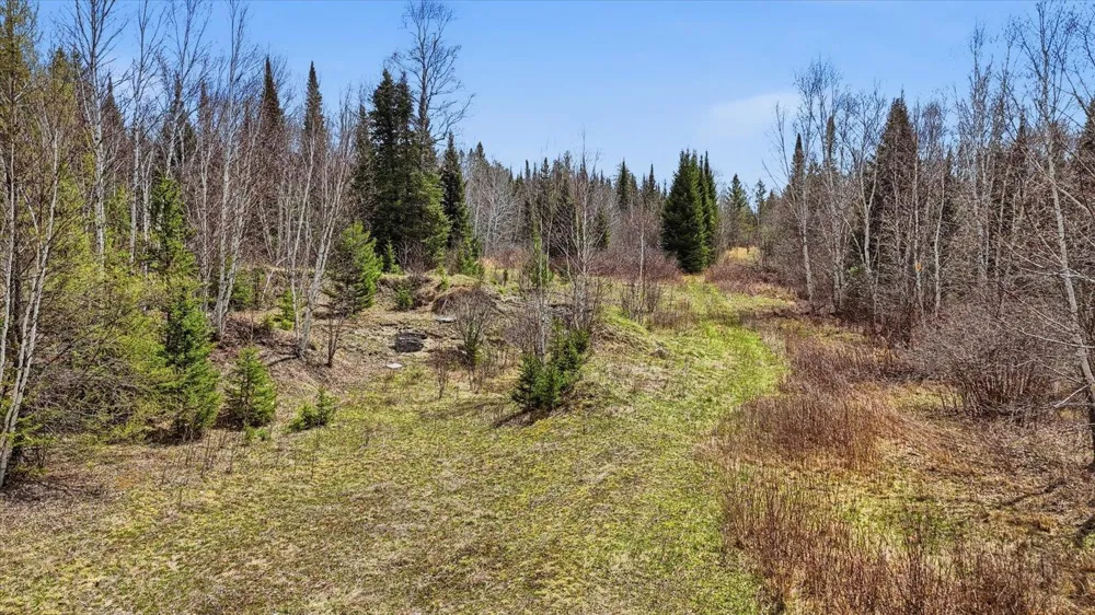 8849 Hwy 25 Angora, MN 55703