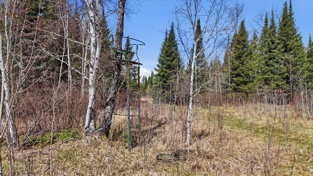 8849 Hwy 25 Angora, MN 55703