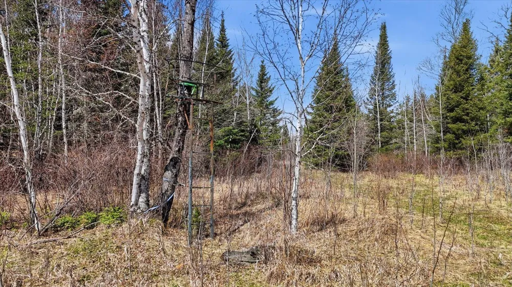8849 Hwy 25 Angora, MN 55703