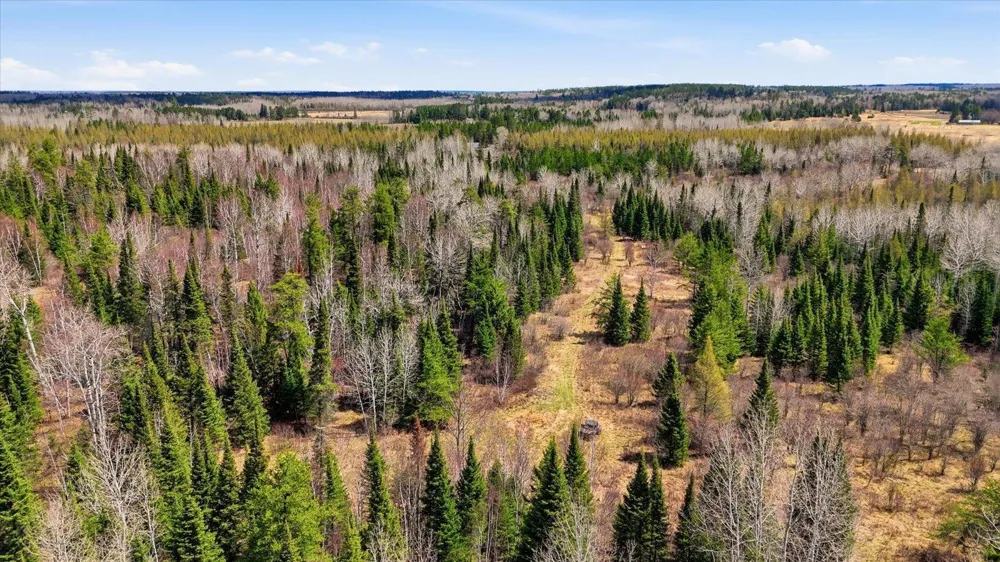8849 Hwy 25 Angora, MN 55703