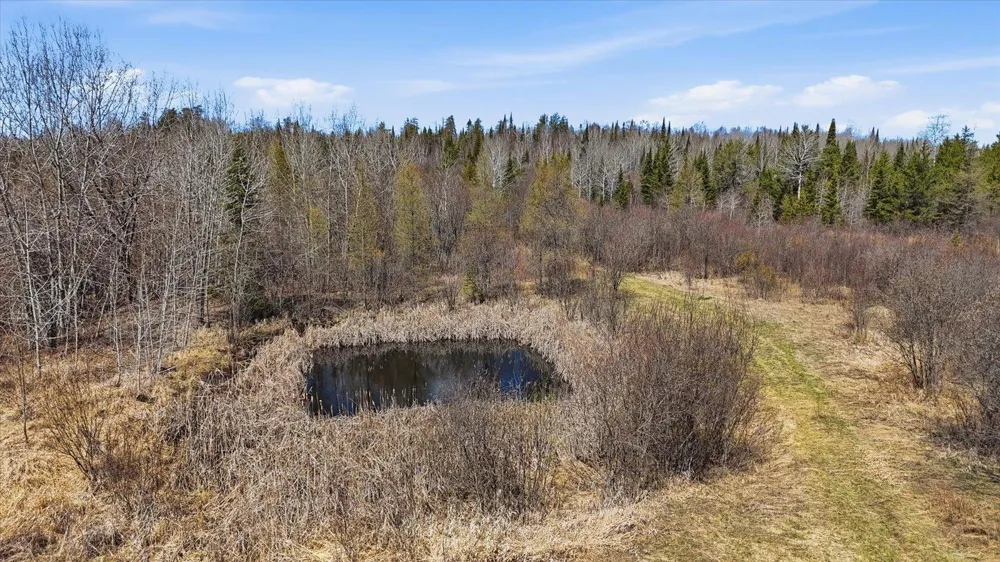 8849 Hwy 25 Angora, MN 55703