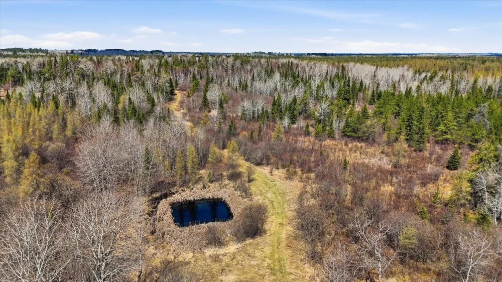 8849 Hwy 25 Angora, MN 55703