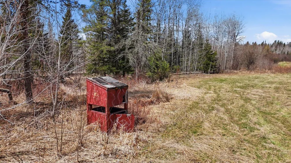 8849 Hwy 25 Angora, MN 55703