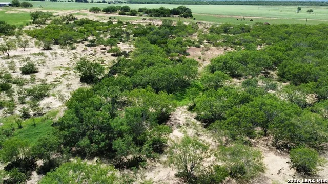 16293 Fm 472 Bigfoot, TX 78016