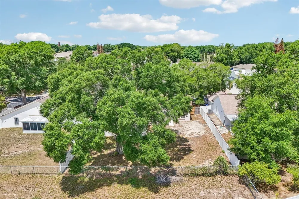 2596 ALCLOBE CIRCLE Ocoee, FL 34761