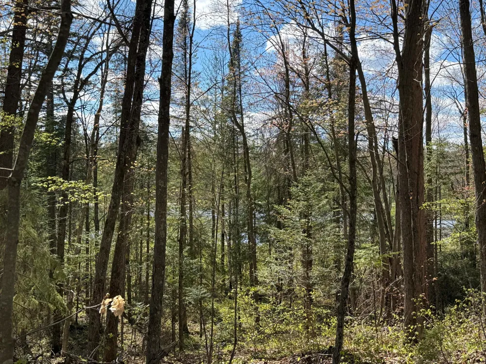 TBD Leonard Road Birchwood, WI 54817