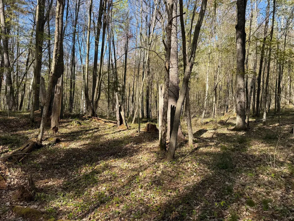 TBD Leonard Road Birchwood, WI 54817