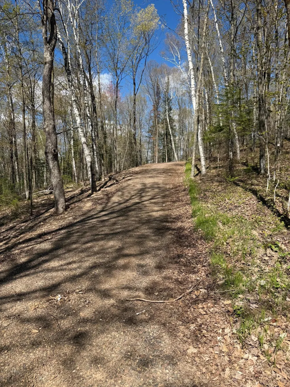 TBD Leonard Road Birchwood, WI 54817