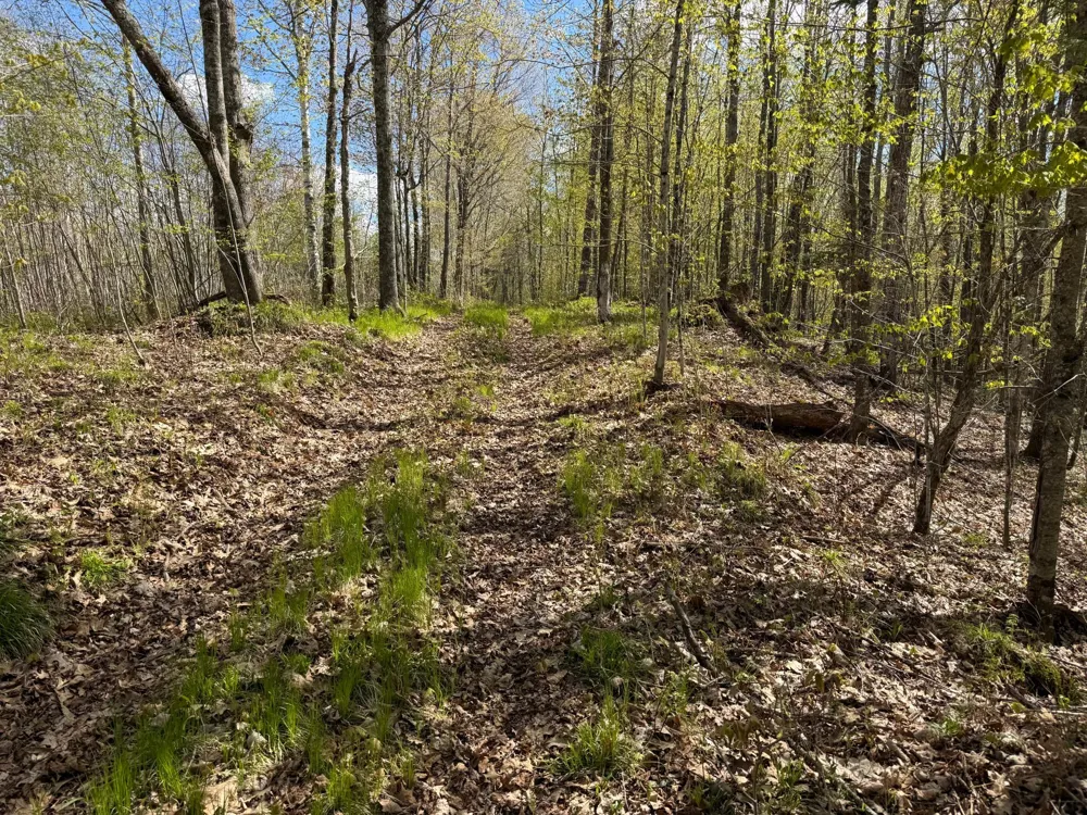 TBD Leonard Road Birchwood, WI 54817