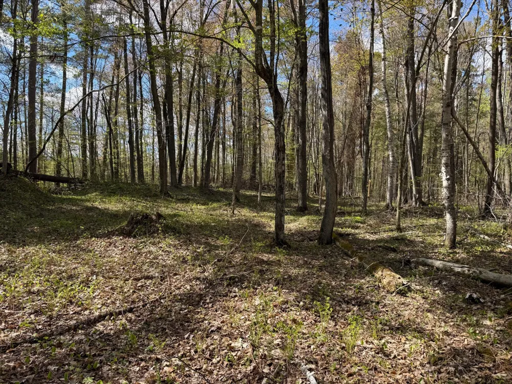 TBD Leonard Road Birchwood, WI 54817