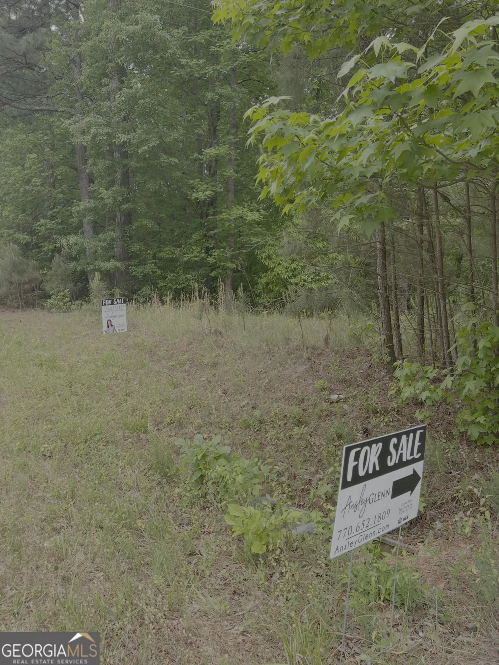 1585 N Ola RD McDonough, GA 30252