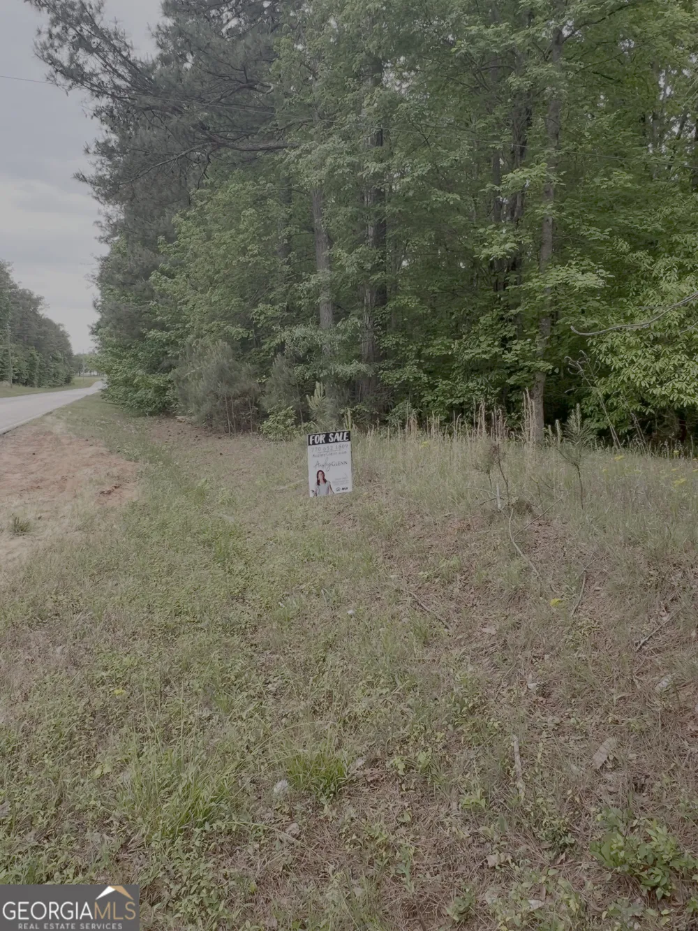 1585 N Ola RD McDonough, GA 30252