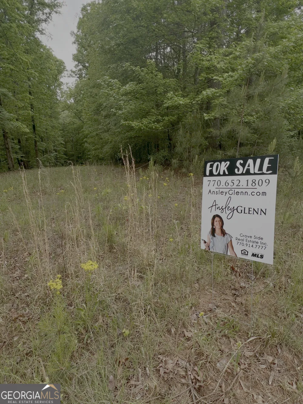 1585 N Ola RD McDonough, GA 30252