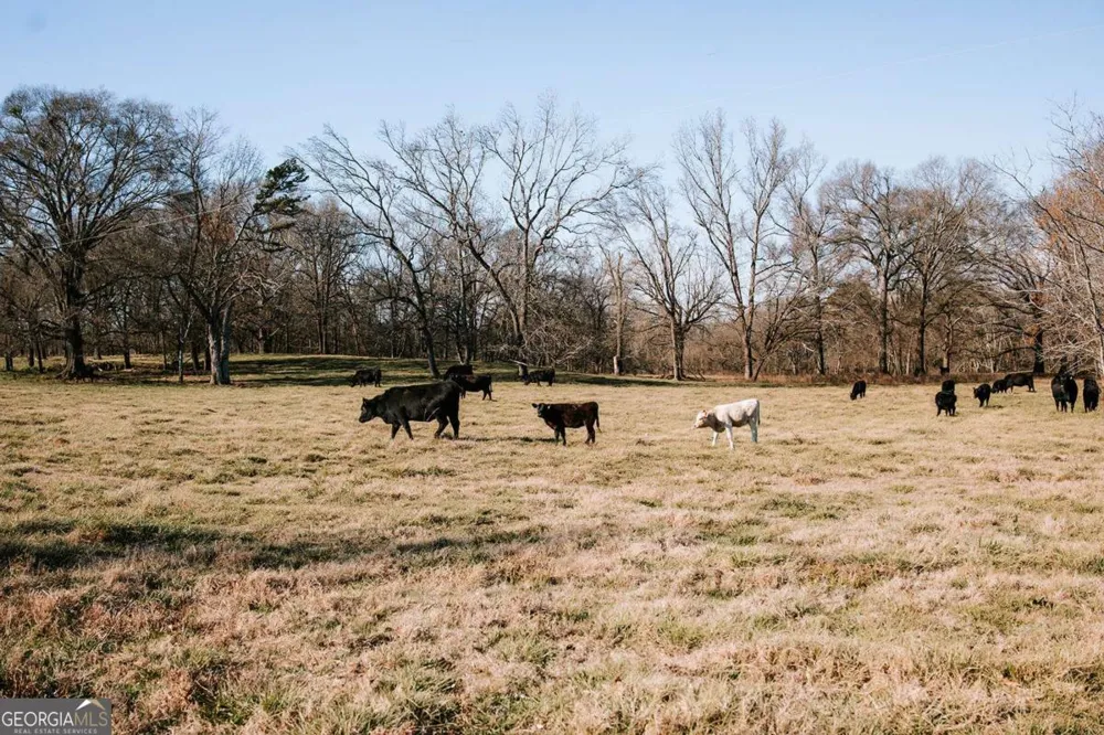 0 Ralph Bridges RD Lexington, GA 30648