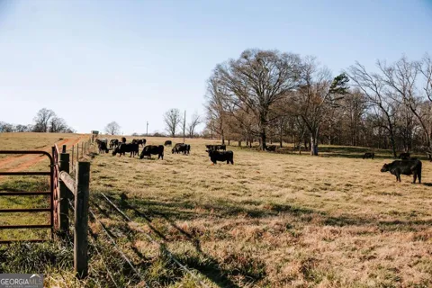 0 Ralph Bridges RD