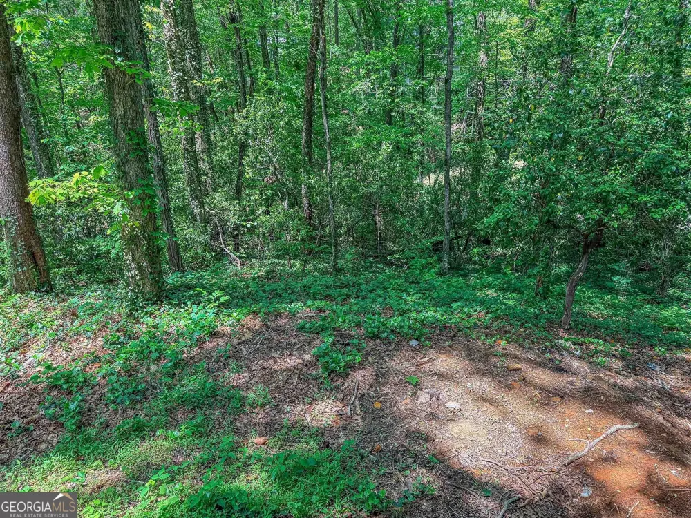 407 Hillside DR Clayton, GA 30525
