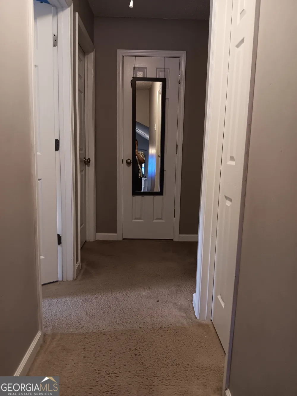 392 Ivy Hills CIR Mount Airy, GA 30563