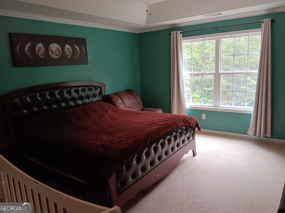 392 Ivy Hills CIR Mount Airy, GA 30563