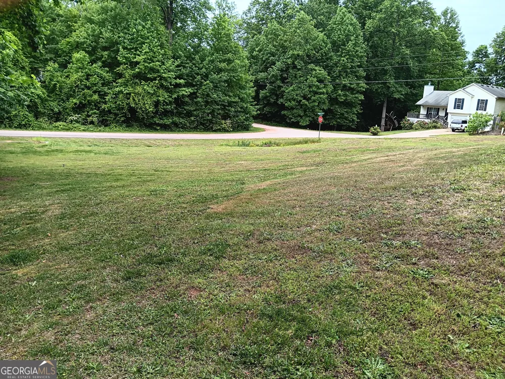 392 Ivy Hills CIR Mount Airy, GA 30563