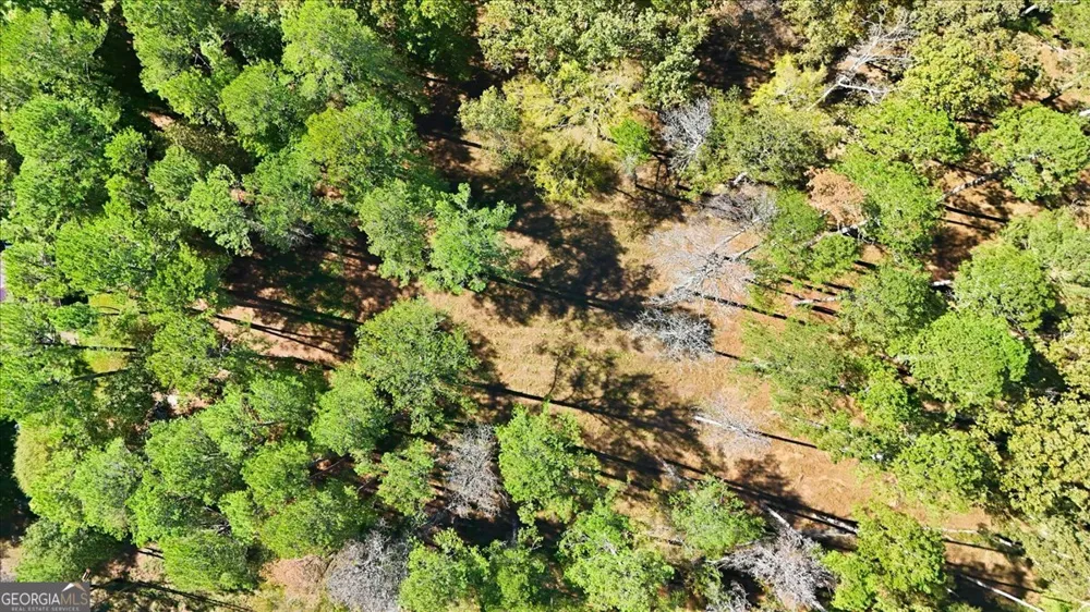 0 Cave Spring RD Cedartown, GA 30125