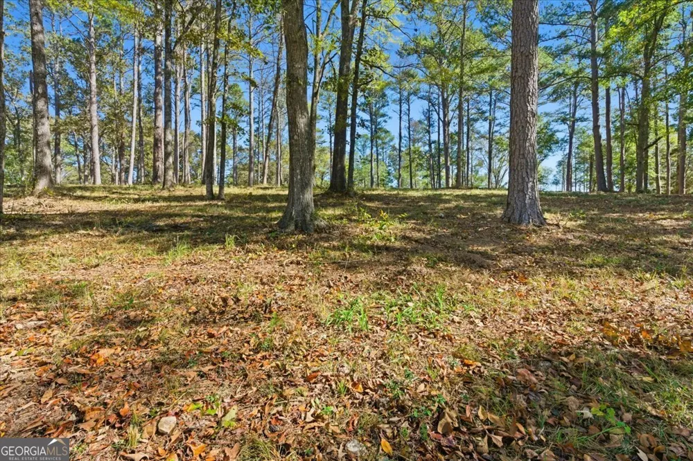0 Cave Spring RD Cedartown, GA 30125