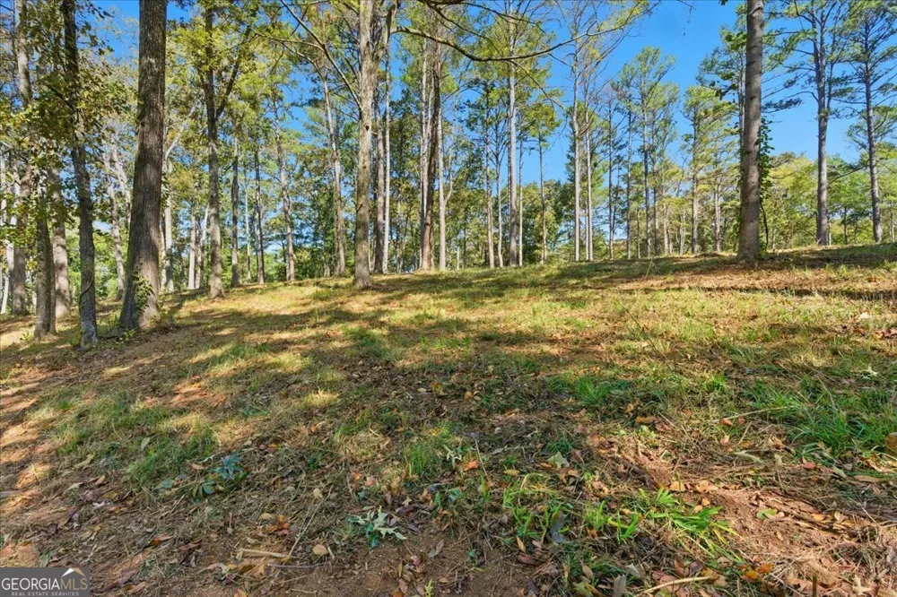 0 Cave Spring RD Cedartown, GA 30125