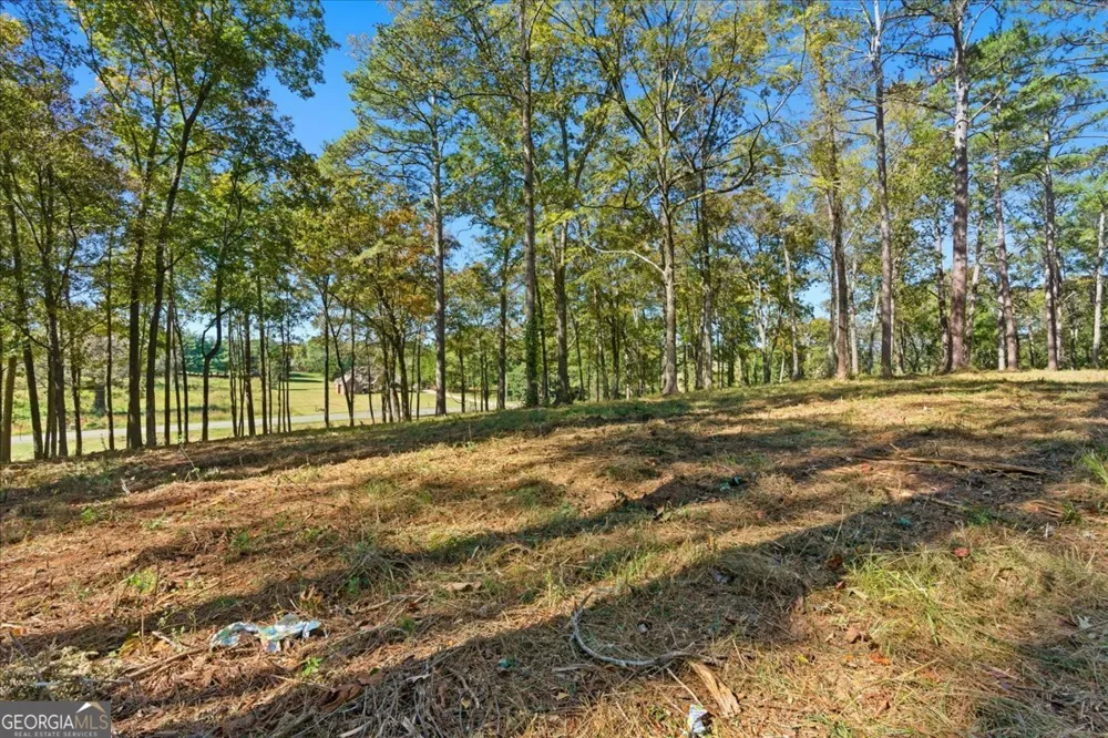 0 Cave Spring RD Cedartown, GA 30125