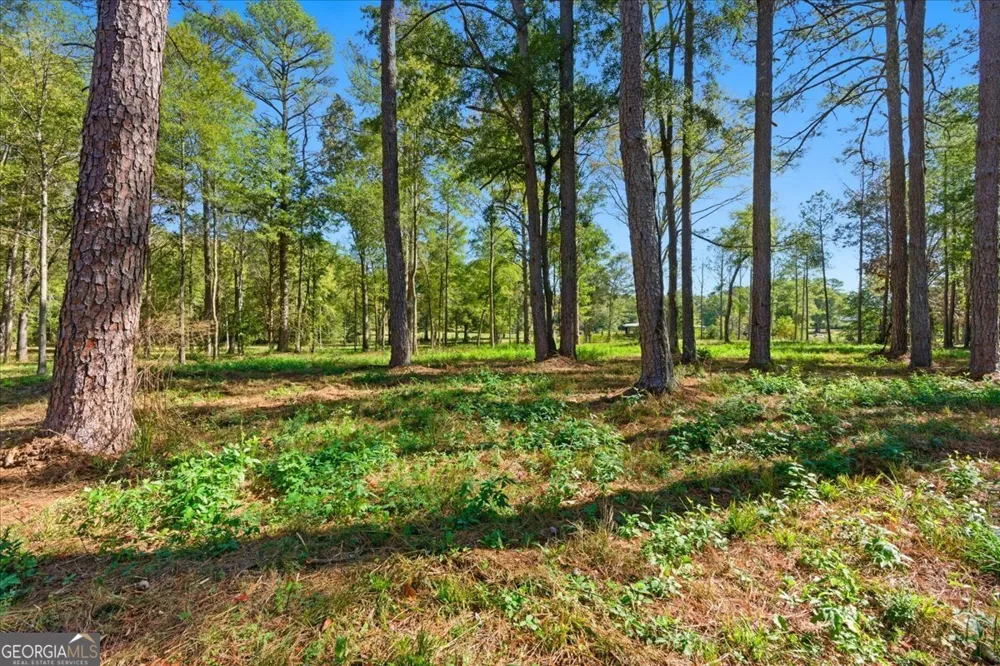 0 Cave Spring RD Cedartown, GA 30125