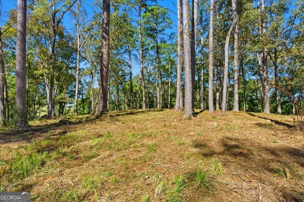 0 Cave Spring RD Cedartown, GA 30125