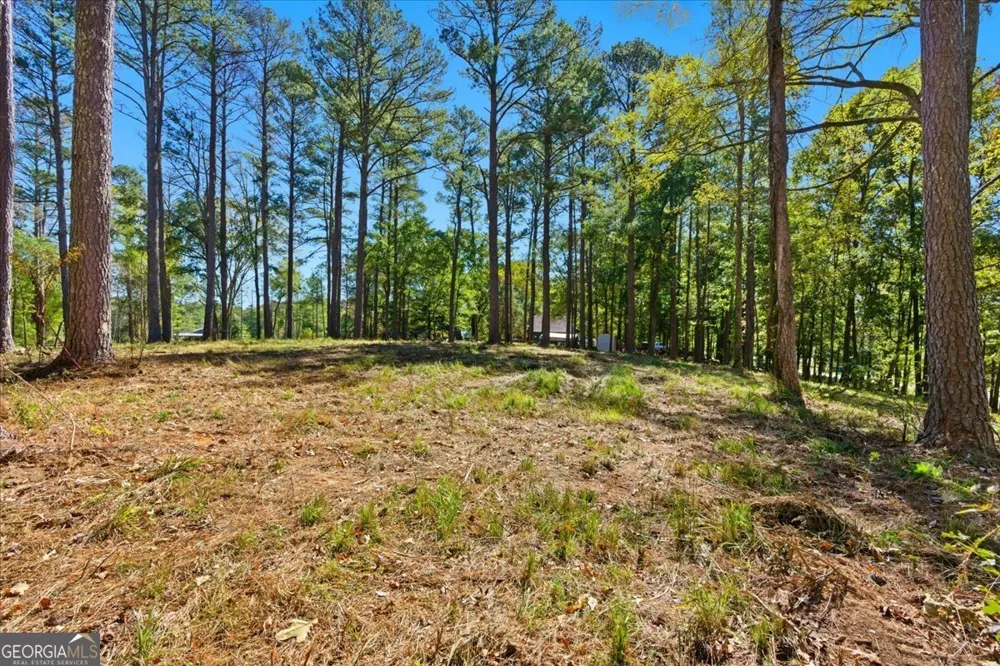 0 Cave Spring RD Cedartown, GA 30125
