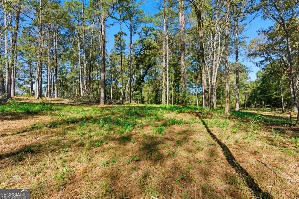 0 Cave Spring RD Cedartown, GA 30125
