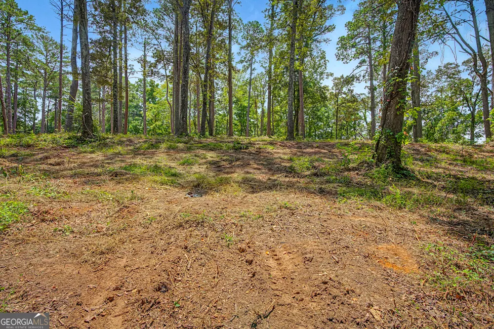 0 Cave Spring RD Cedartown, GA 30125