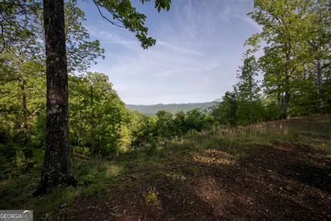 43/44 Timberwood Mountain Estates