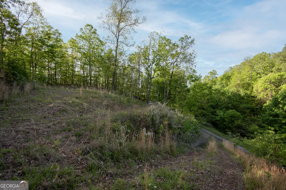 43/44 Timberwood Mountain Estates Marble, NC 28905