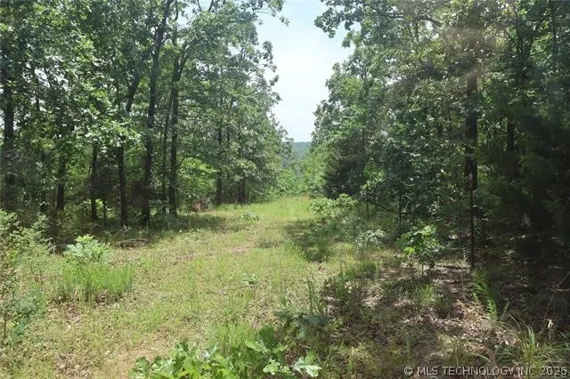 State Hwy 31 Bokoshe, OK 74930